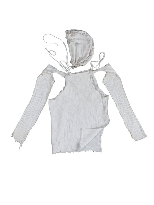 The Dove's Broken Tail: Long Sleeve Hooded T